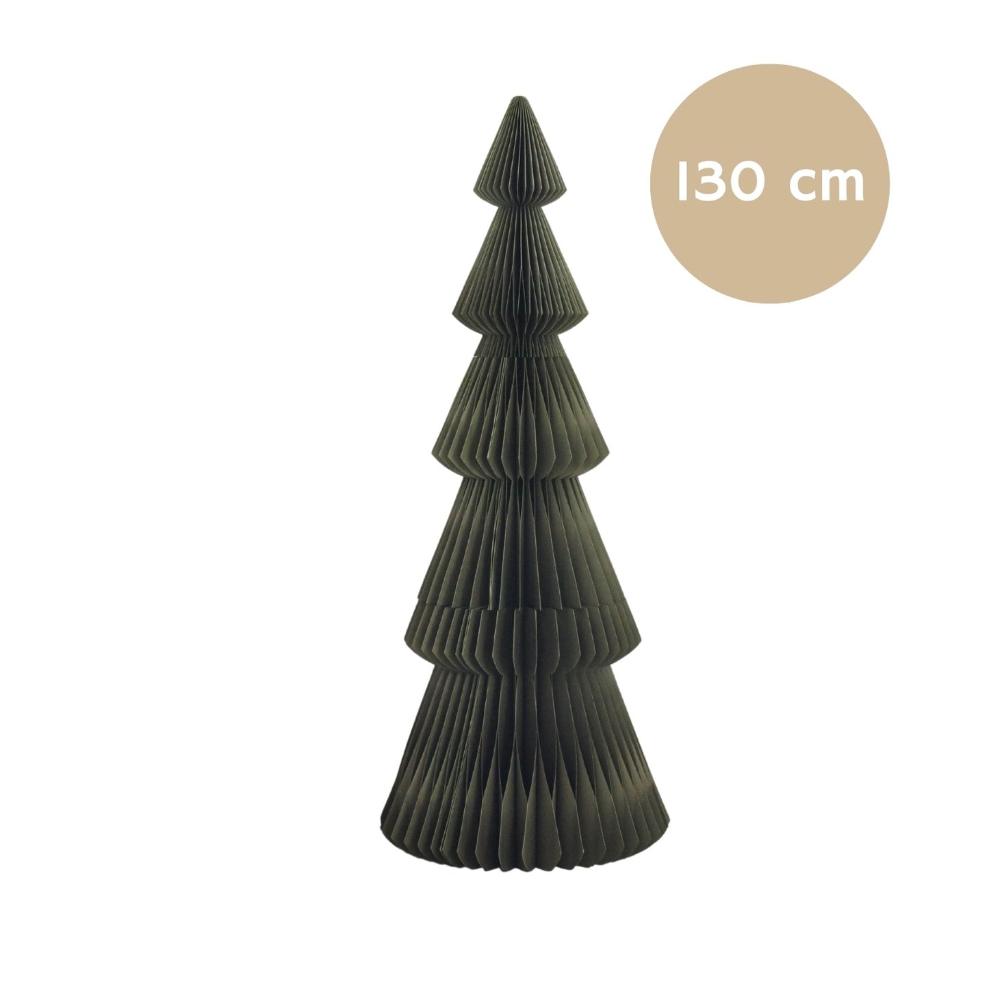 Evergreen Tree Standing