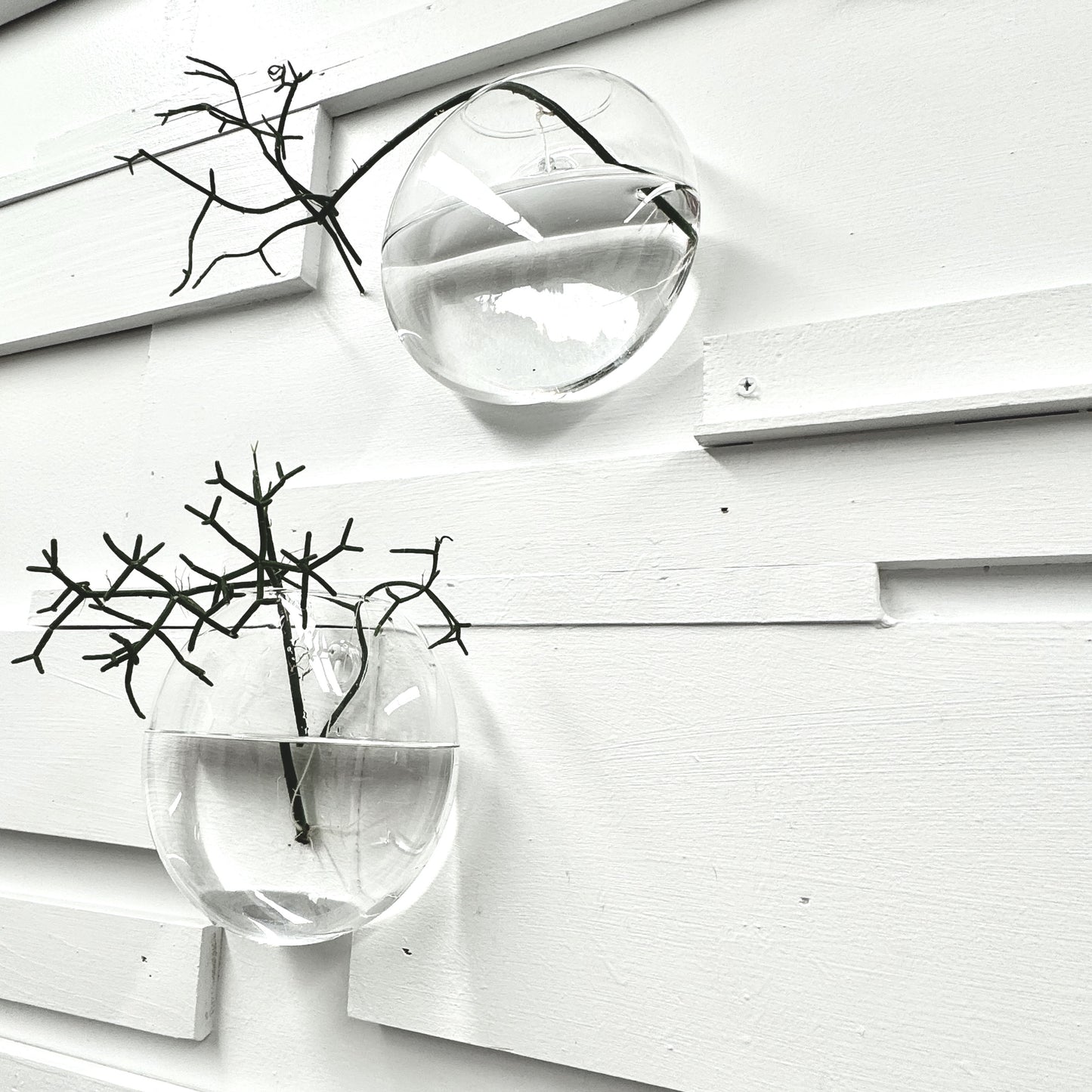 Blown Glass Wall Vase (Squat)