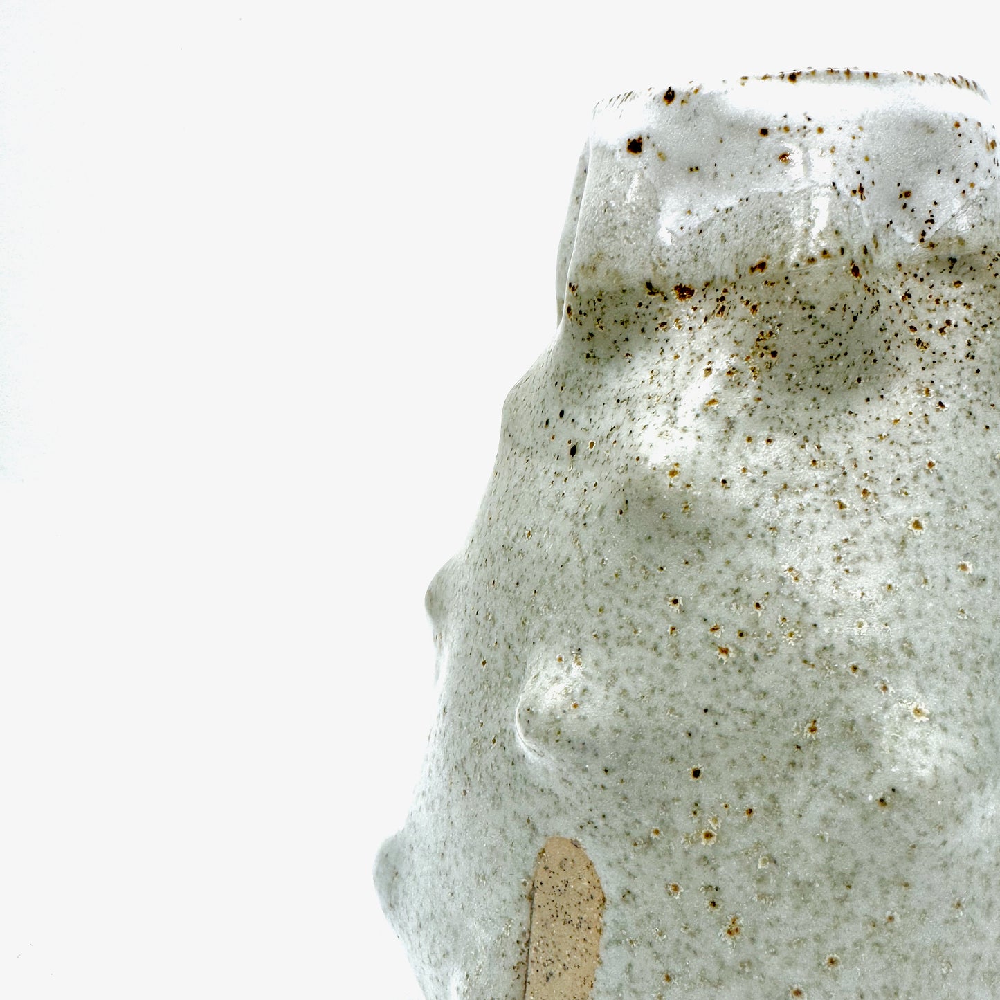 Handbuilt Ceramic Vase