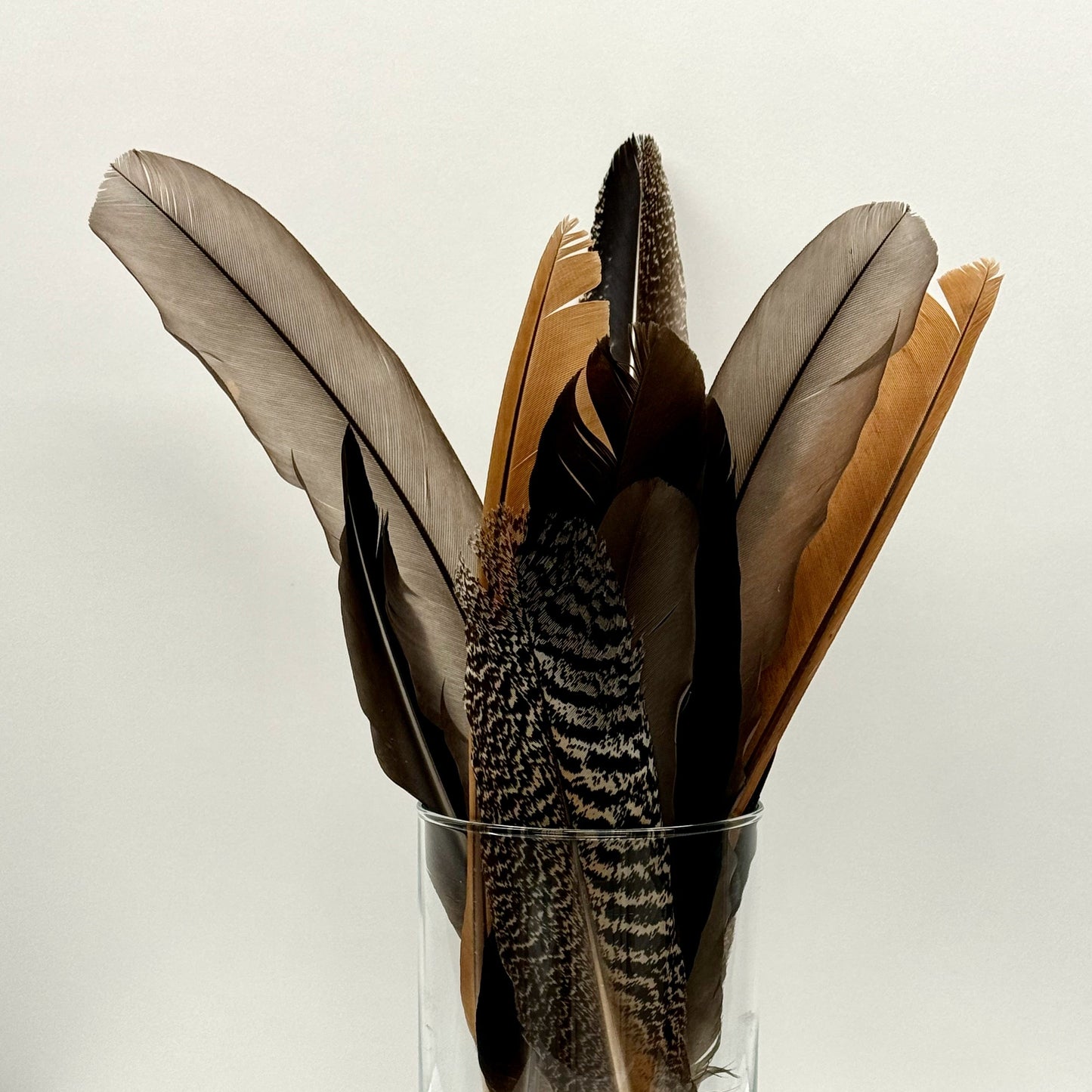 Peacock Smudge Feathers (Australian)