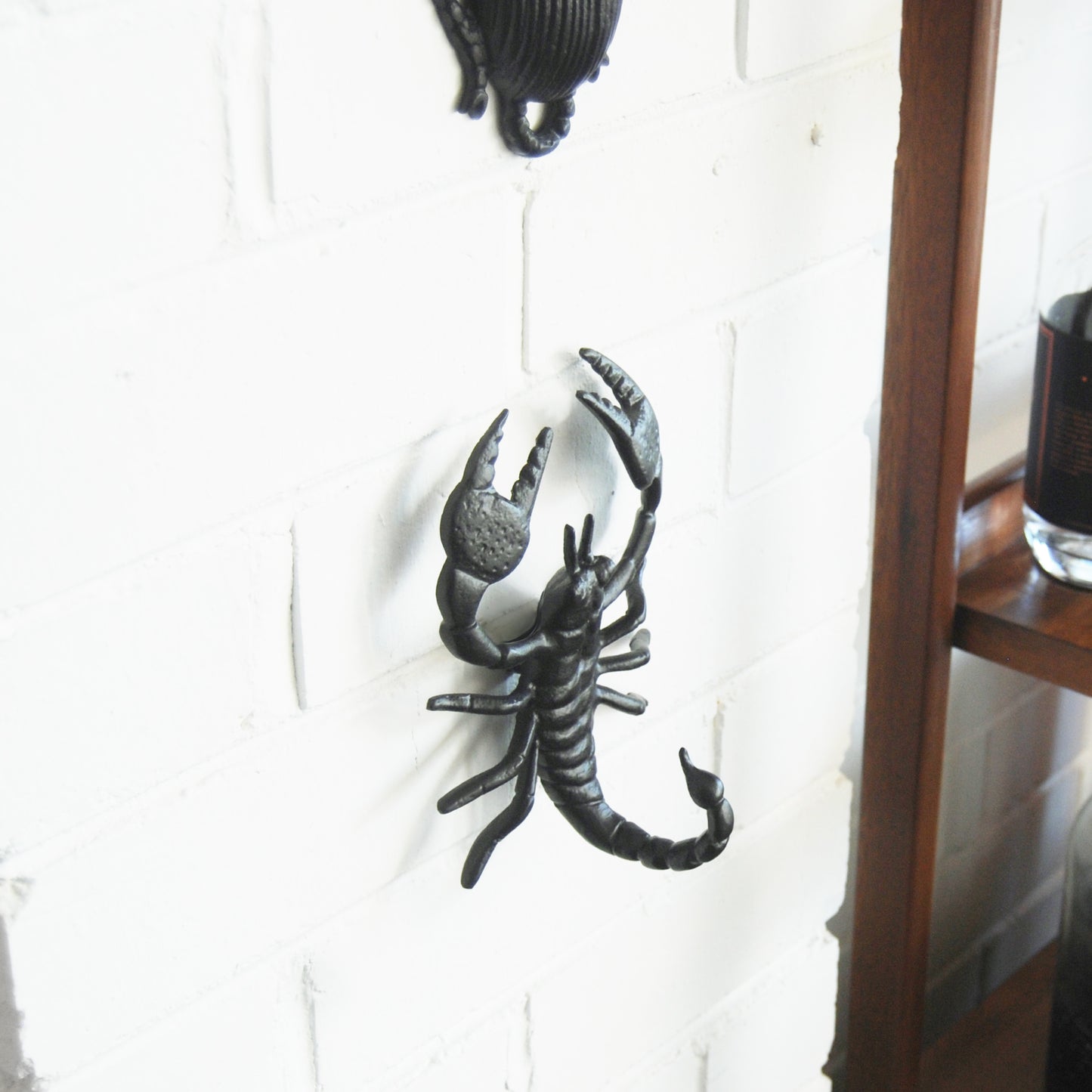 Scorpion Wall Mount