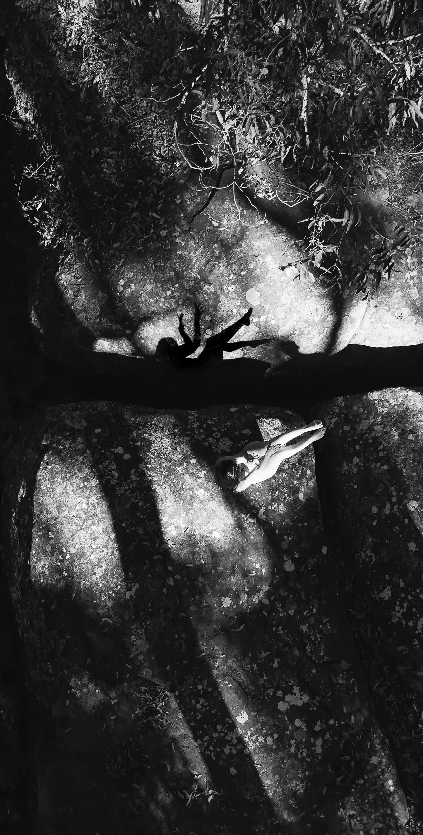 Sculpted Shadows