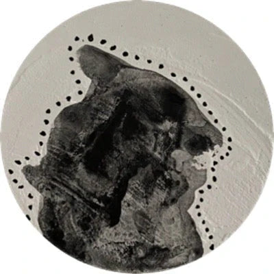 Chimera Circles 41-60