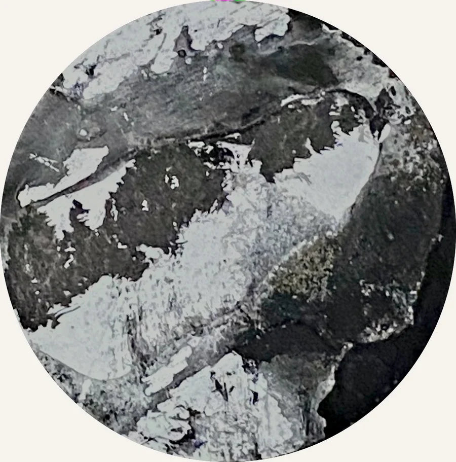 Chimera Circles 41-60