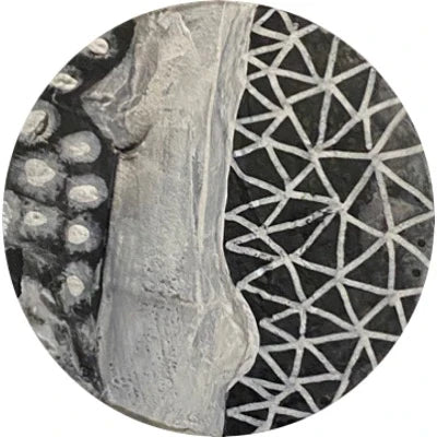 Chimera Circles 41-60