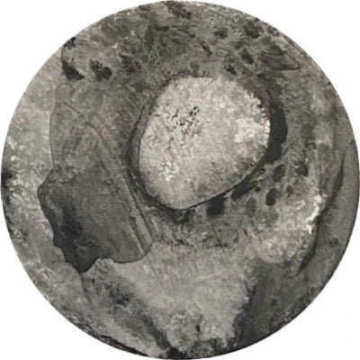 Chimera Circles 41-60
