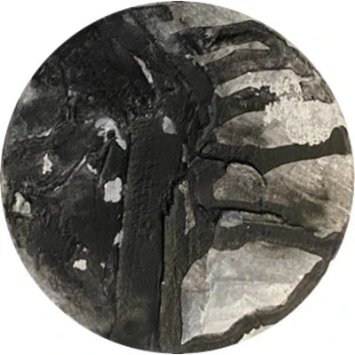 Chimera Circles 61-80
