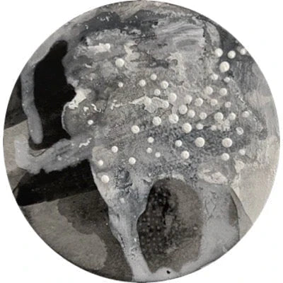 Chimera Circles 1-20