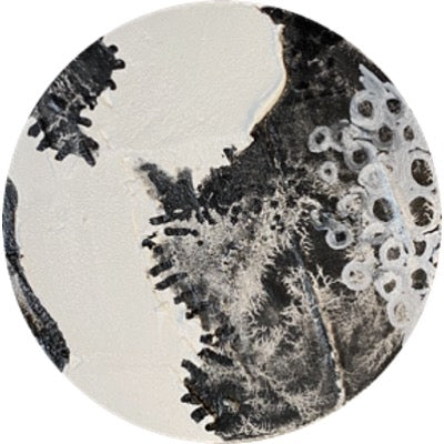 Chimera Circles 81-100