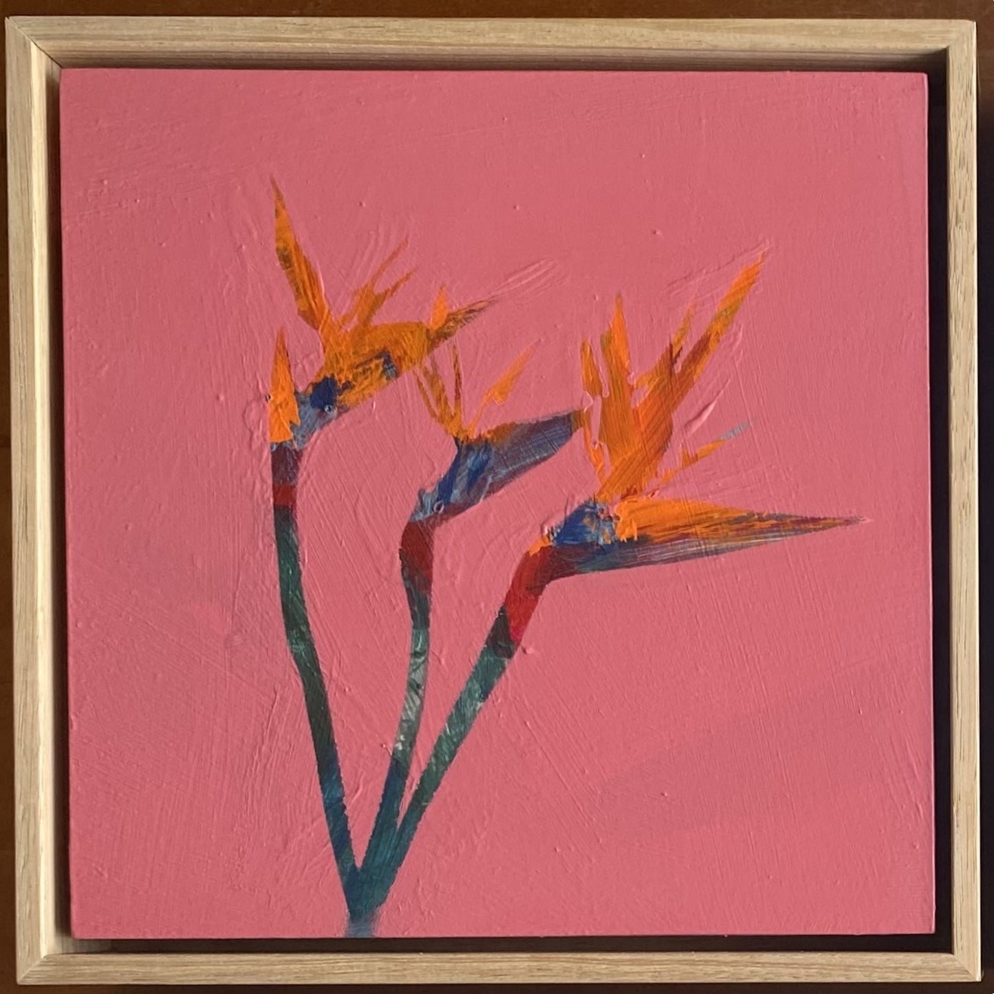 Three Birds of Paradise in hot pink