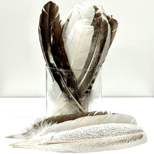 Smudge Feathers (Californian)